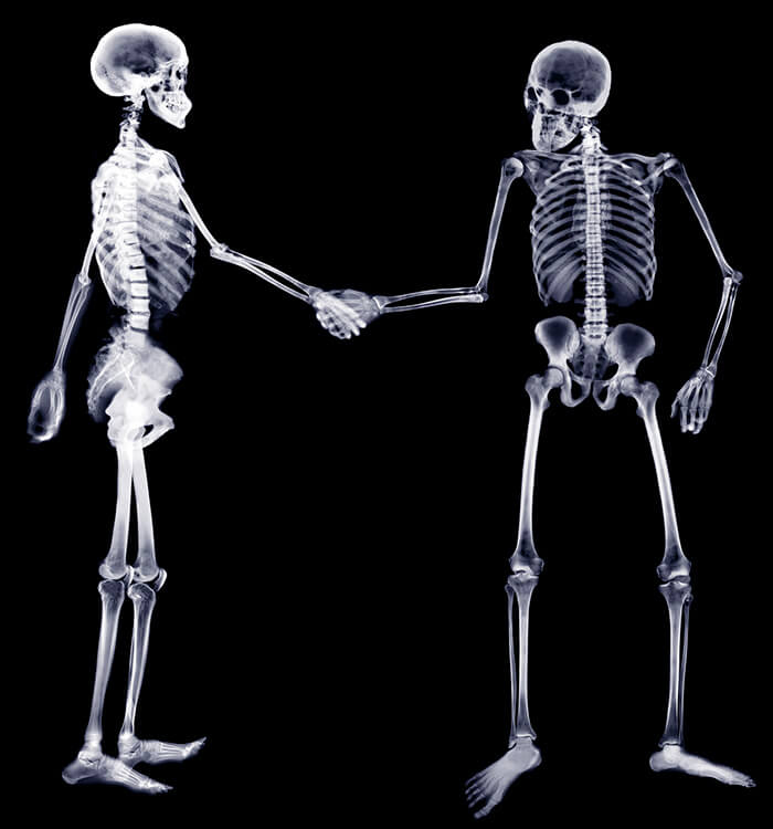 Skeletal structures shaking hands