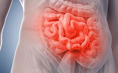 Research Uncovers a Missing Link in Crohn’s Disease Treatment