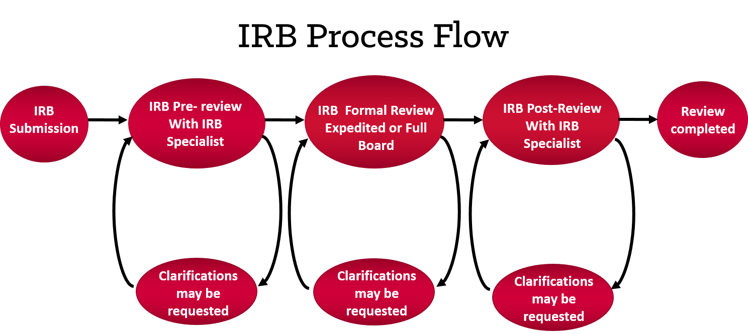 IRB Process Flow