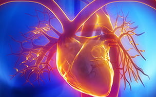 How to Live Longer with Heart Failure