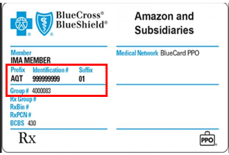 Example Blue Cross Blue Shield insurance card