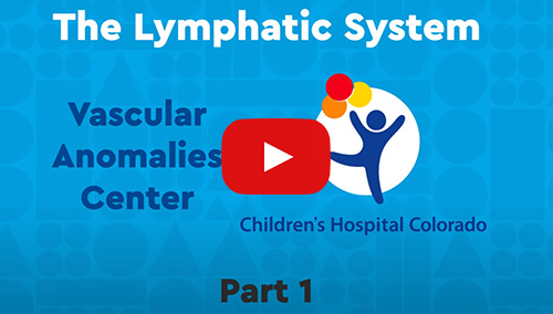 Click to watch The Lymphatic System video