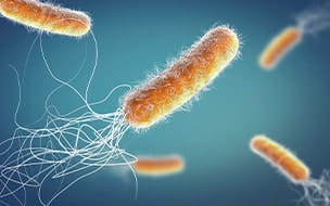 antibiotic resistant bacteria illustration