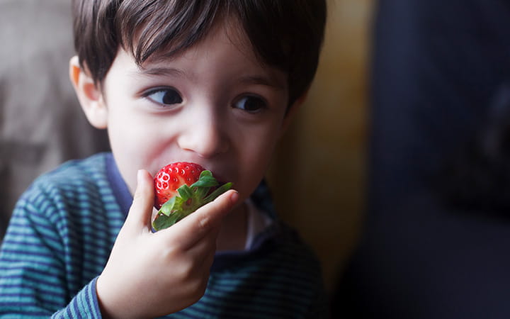 young boy eating a strawberry