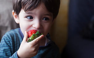 young boy eating a strawberry
