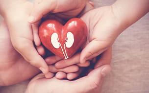 How Heart Disease Affects the Kidneys