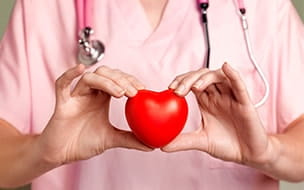 A cardiologist holds a model heart