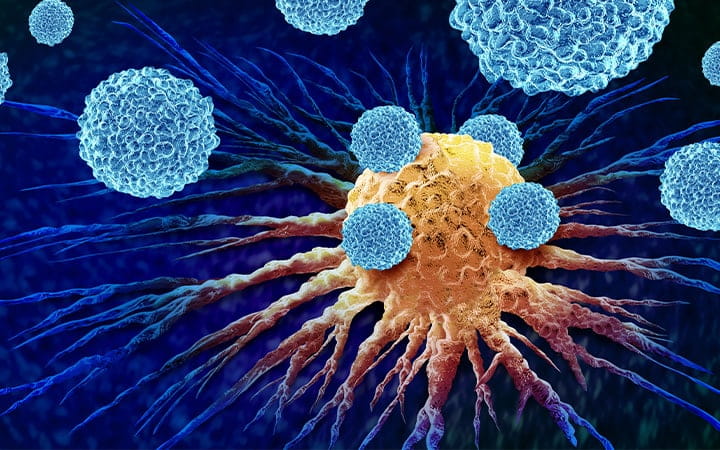 Illustration of leukocytes attacking cancer