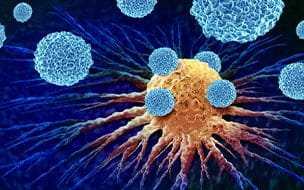 Illustration of leukocytes attacking cancer