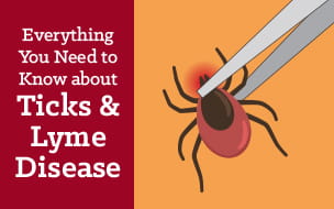5 Tips to Avoid Lyme Disease – And How to Remove a Tick