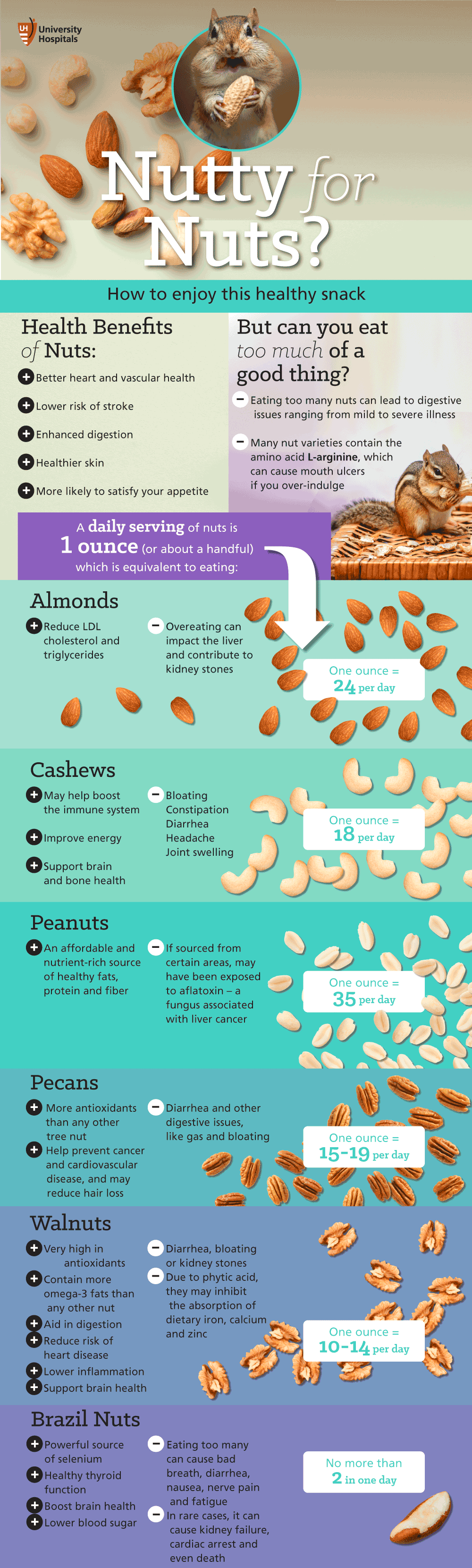 Infographic: Nutty for Nuts?