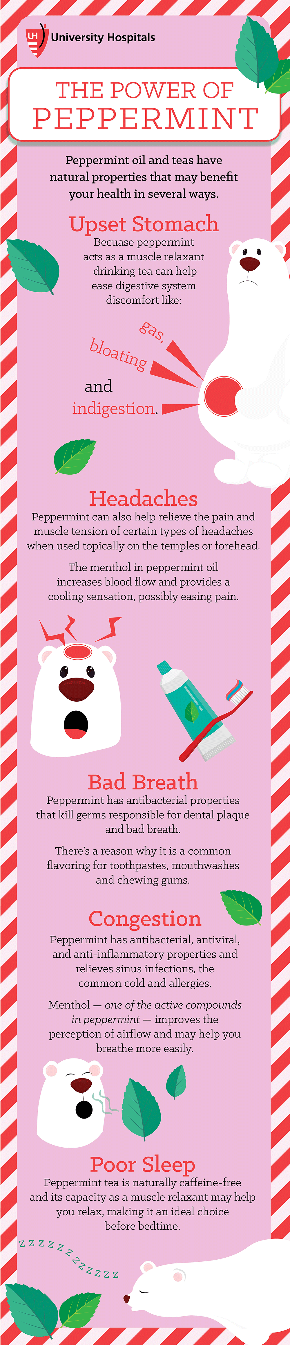 Infographic: The Power of Peppermint
