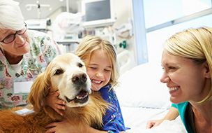 How Pet Therapy Can Help Promote Healing for Hospital Patients