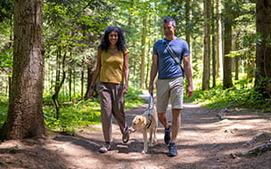 Smiling adult couple walking their dog on a pathway between grown trees on a sunny summer day