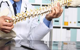 Physician holding spinal column