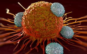 Microscopic image of T-cell