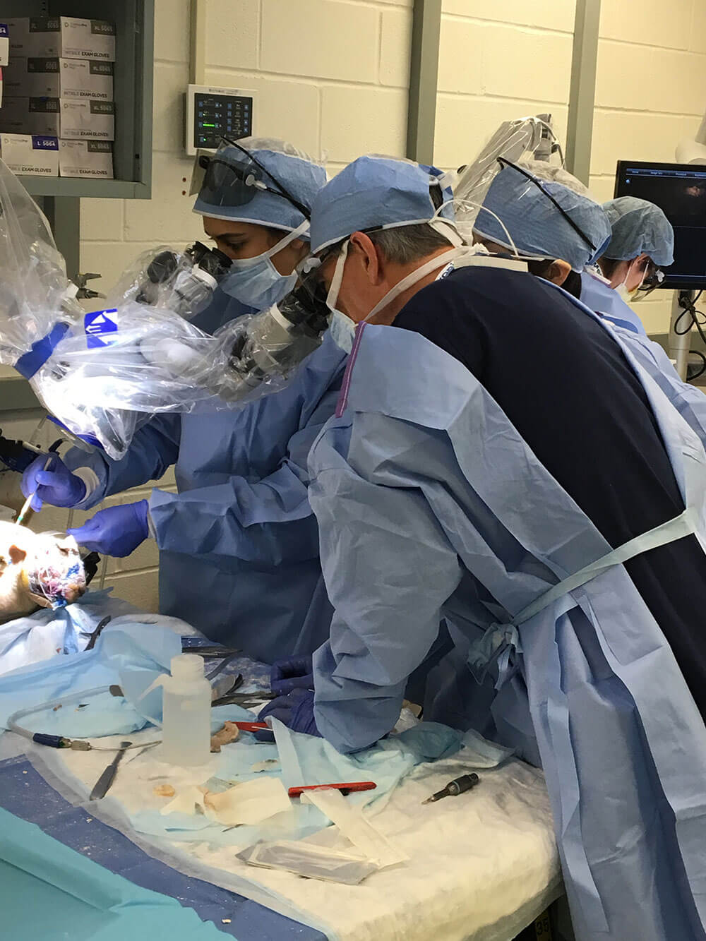 CNS Skull Base Fellows Course held at UH Cleveland Medical Center