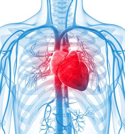 Increasing Options for Life-Saving Care: Focus on Multidisciplinary Cardiogenic Shock Team at UH