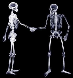 Skeletal structures shaking hands