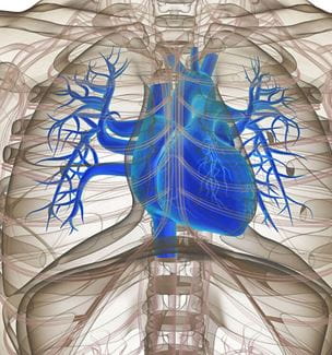 Getty image of 3D heart illustration