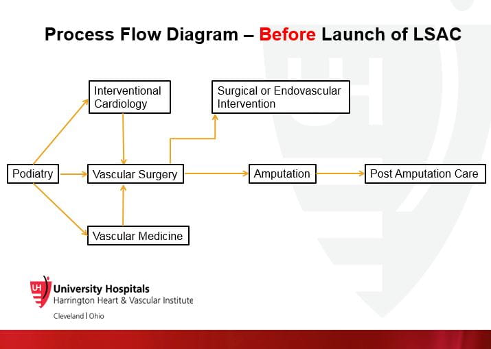 Process Flow Diagram - Before LSAC