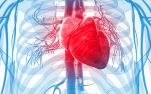 Coronary and Peripheral Artery Disease