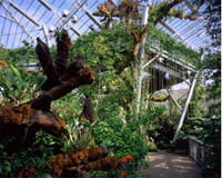 Cleveland Botanical Gardens