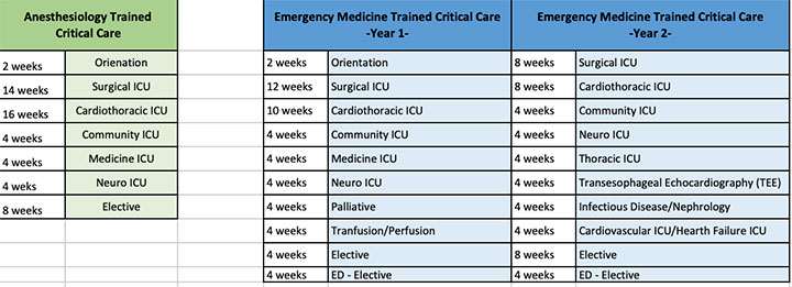 critical care fellowship curriculum