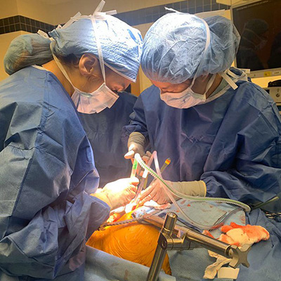 urology surgeons