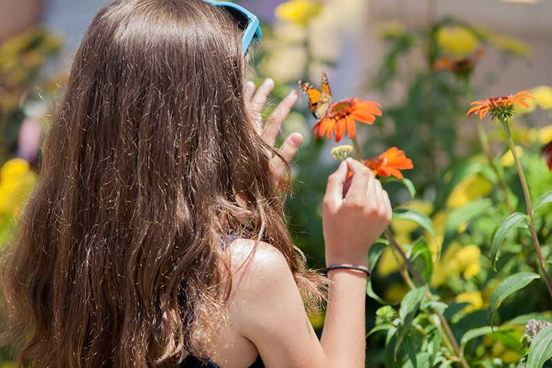 A girl at the butterfly release in Angies' Garden at Rainbow Babies & Children’s Hospital