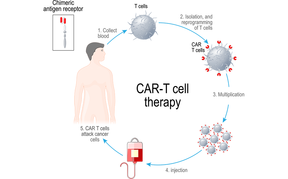 CAR T-cell therapy – artificial leukocyte receptors stock illustration