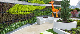 Angie's rooftop healing garden showing greenery and the giraffe statue