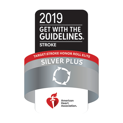 American Heart Association 2019 "Get With the Guidelines (Stroke)" Silver Plus seal