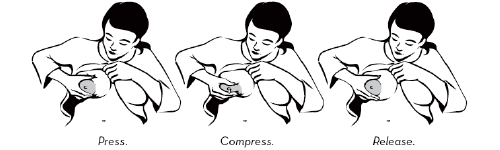 Illustration of expression through breast massage