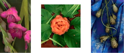 Selection from the UH Art Collection