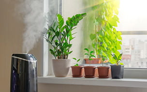 The Role of Dry Winter Air in Spreading COVID-19