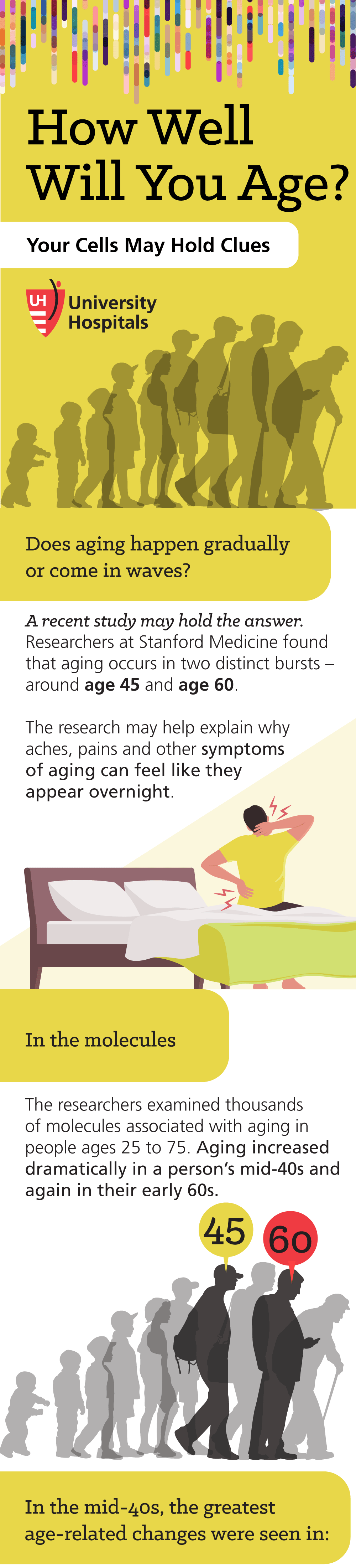 Infographic: How Well Will You Age? Your Cells May Hold Clues