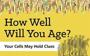 How Well Will You Age? Your Cells May Hold Clues