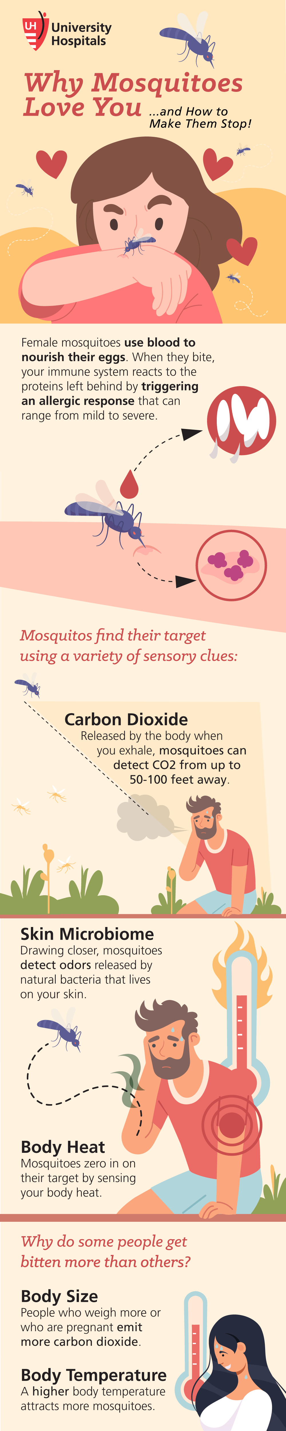 Infographic: Why Mosquitoes Love You (and How to Make Them Stop)