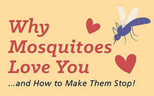 Why Mosquitoes Love You (and How to Make Them Stop!)