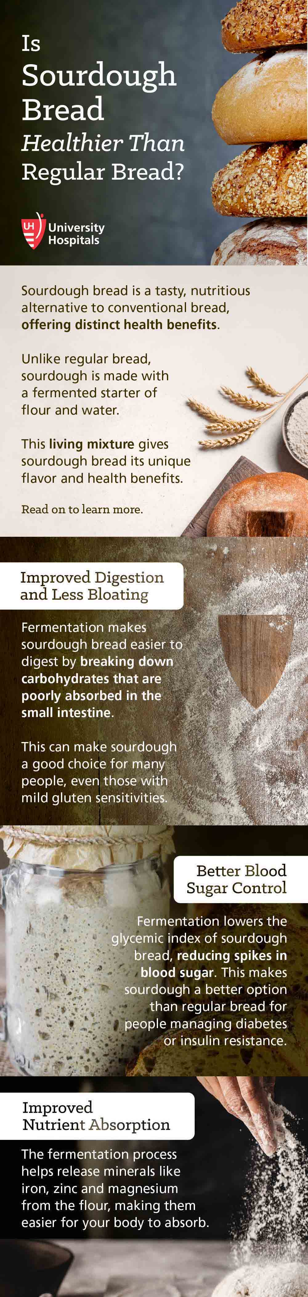 Infographic: Is Sourdough Bread Healthier Than Regular Bread?