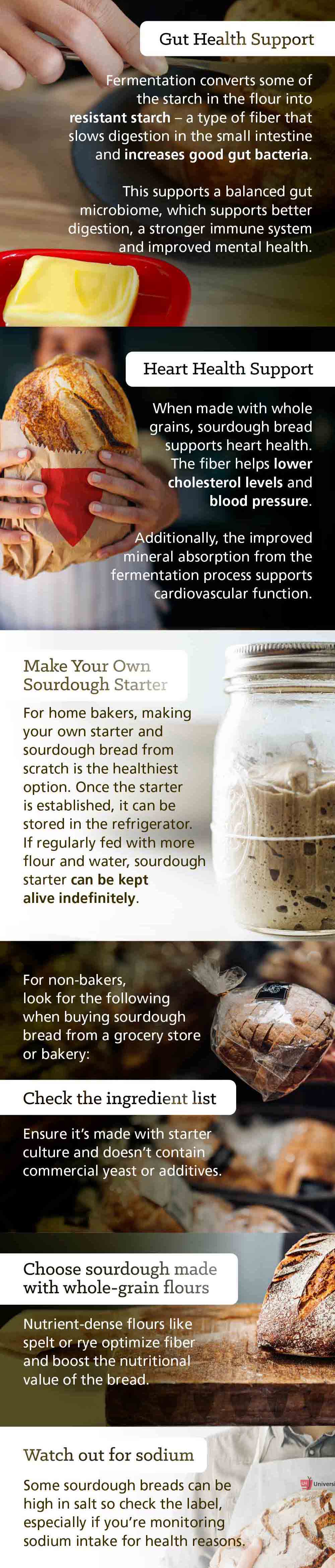 Infographic: Is Sourdough Bread Healthier Than Regular Bread?