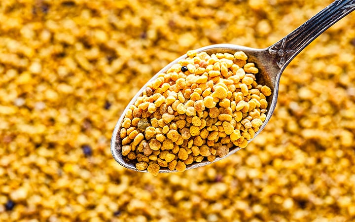 Organic bee pollen granules in a metal spoon