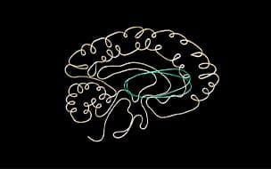 Tourette Syndrome: Understanding Tics