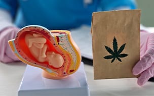 What the Research Says About Marijuana Use During Pregnancy
