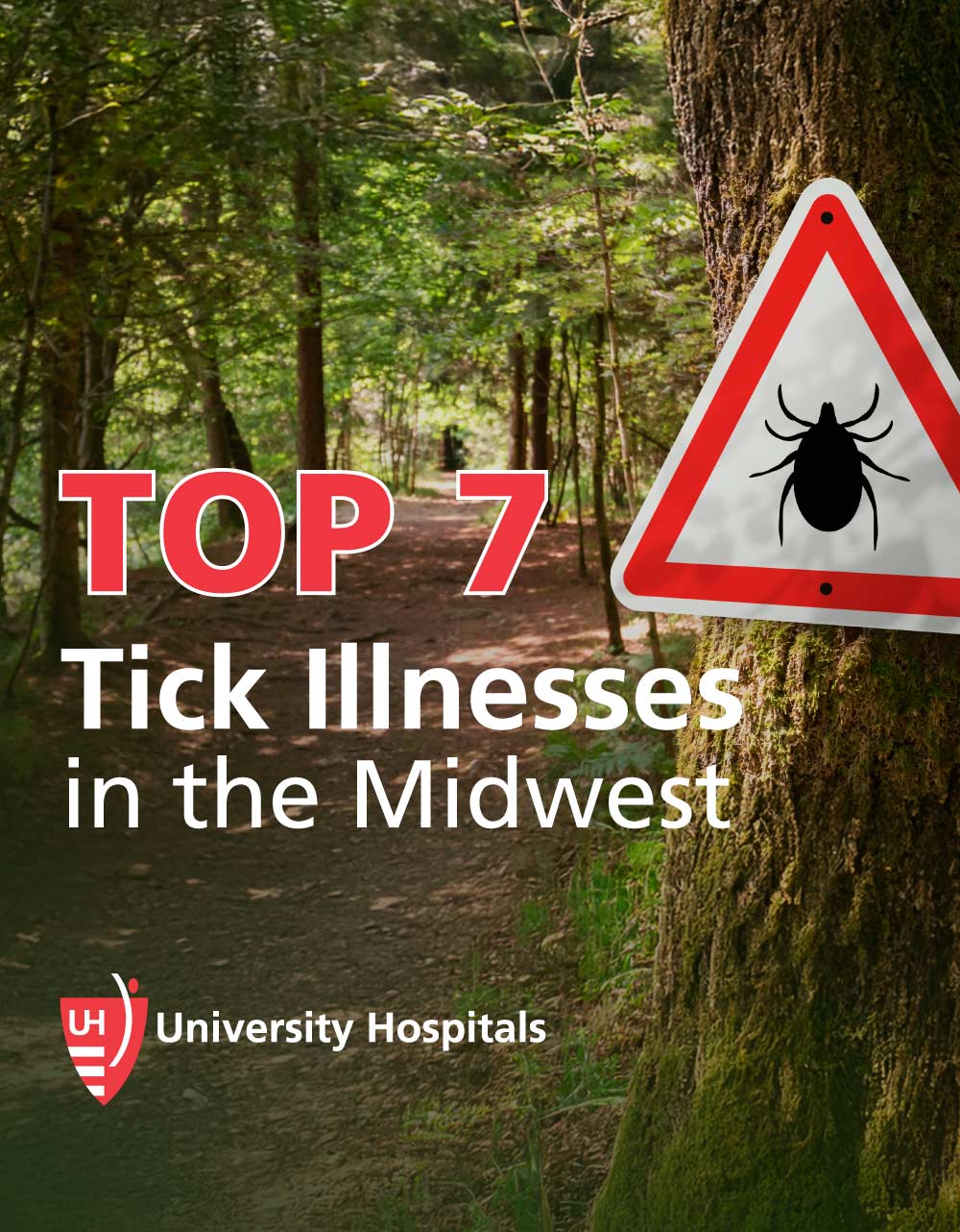 Infographic: Top 7 Tick Illnesses in the Midwest