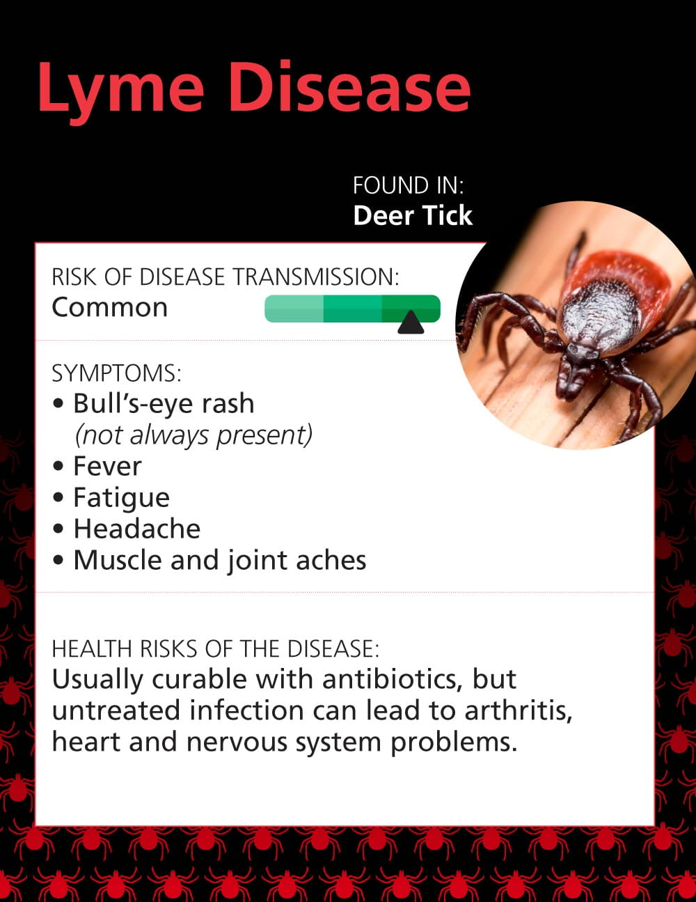 Infographic: Top 7 Tick Illnesses in the Midwest