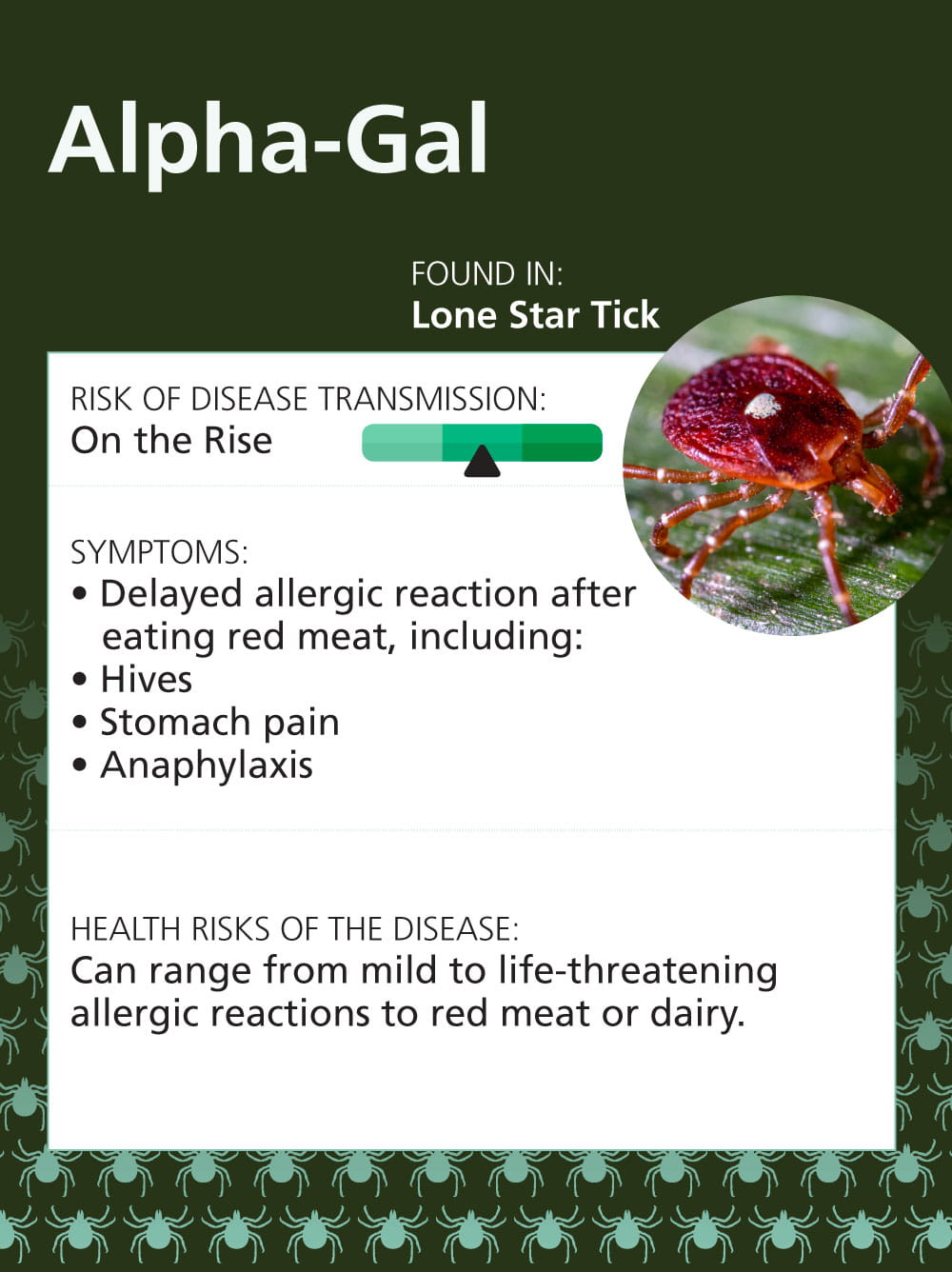 Infographic: Top 7 Tick Illnesses in the Midwest