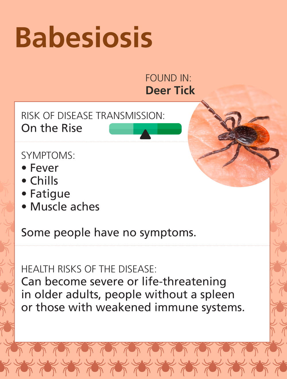 Infographic: Top 7 Tick Illnesses in the Midwest