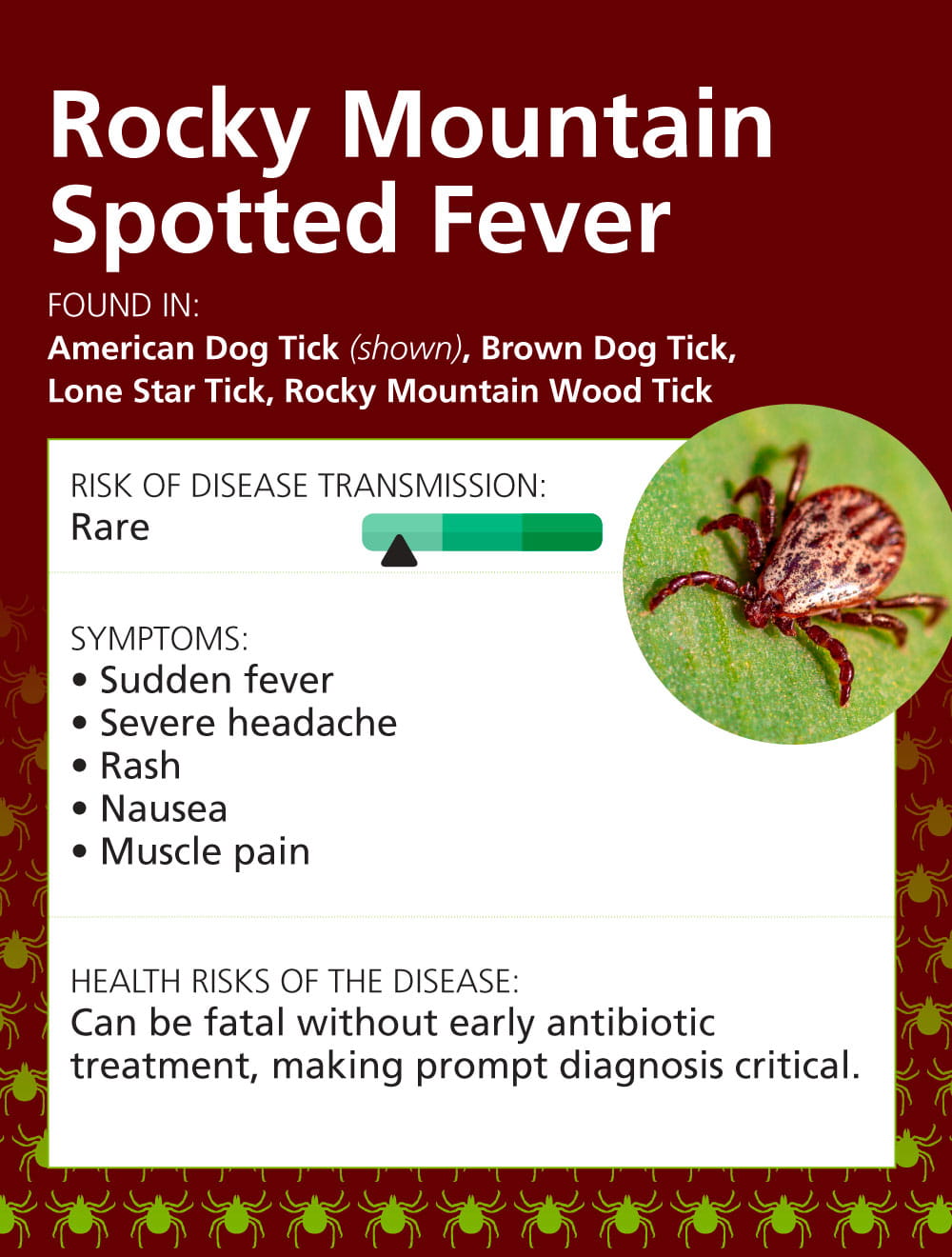 Infographic: Top 7 Tick Illnesses in the Midwest